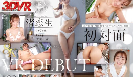 【VR】【8K】芸能人 渚恋生 初対面